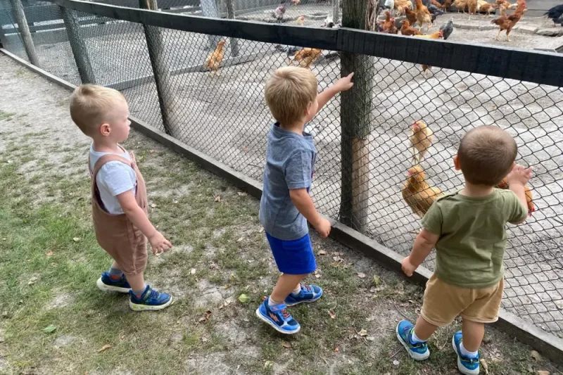 salas-lujza-belo-blato